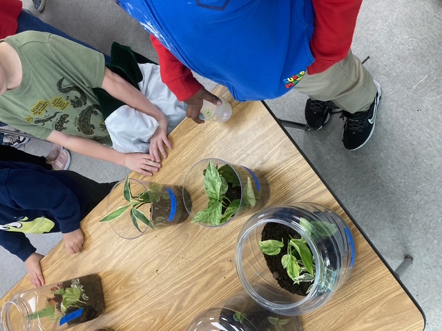 PCGC Junior Gardeners Photo One